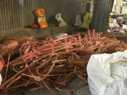 �߃r(ji��)�U�~����