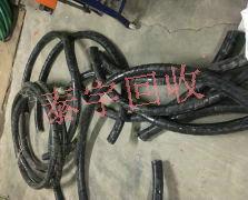 �U�f��|���ո߃r