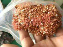 ������R�_�~����