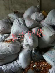 �߃r(ji��)���ՏU�~����